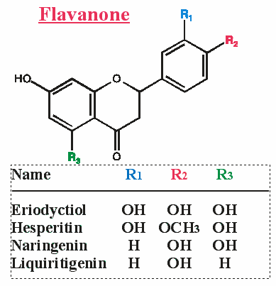 flavo-13.gif (5990 Byte)