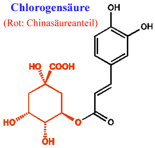 phepro10.gif (3953 Byte)