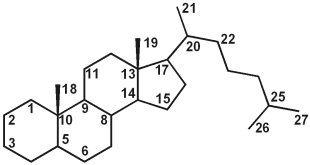 100 Wege, wie bodyformus steroide Sie unbesiegbar machen kann