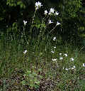 wpe140.jpg (4061 Byte)